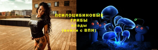 МДПВ Карпинск