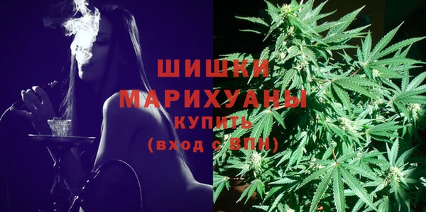 МДПВ Карпинск