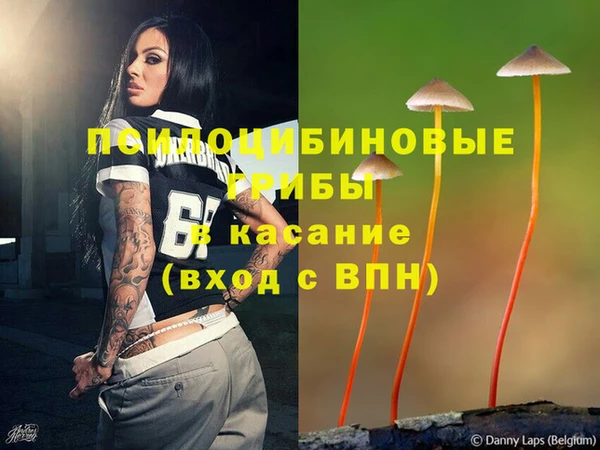 МДПВ Карпинск