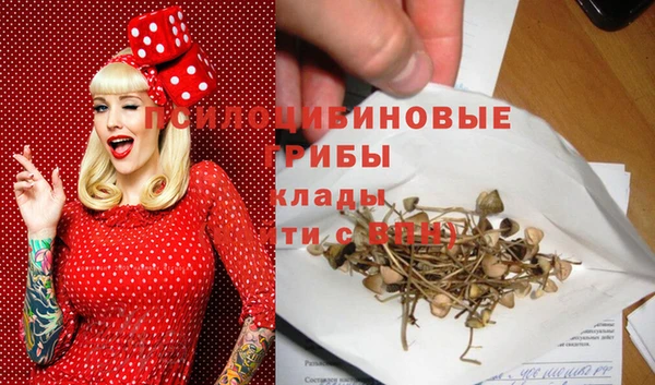 прущий лед Касимов