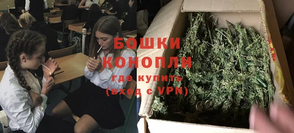 МДПВ Карпинск