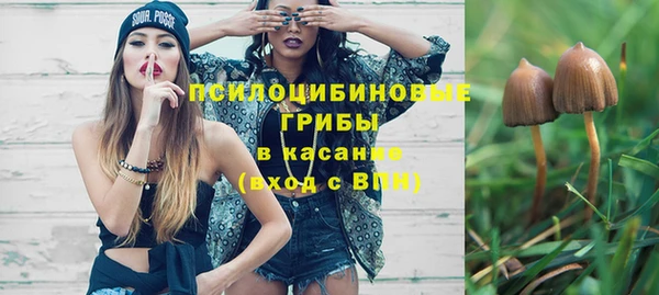МДПВ Карпинск