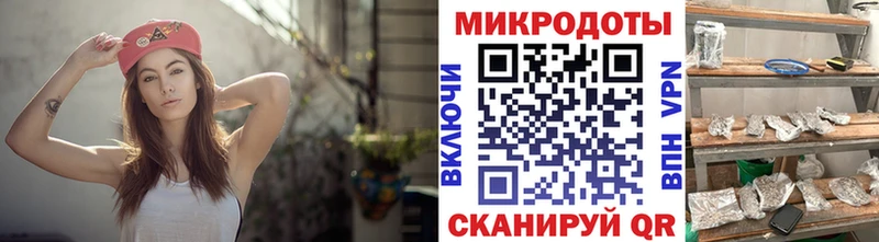 Купить где  Камбарка  Галлюциногенные грибы Psilocybine cubensis 