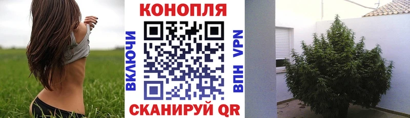 Марихуана семена  Купить  Камбарка 